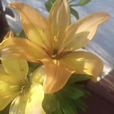 Profile image of 각별