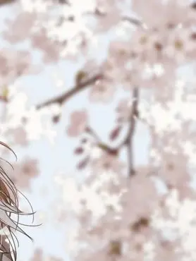 yamikkyu242의 嫌いなはずの、君