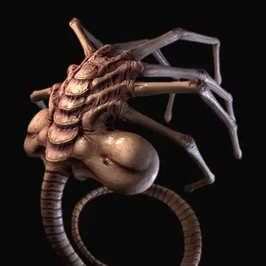 Profile image of 페이스 허거