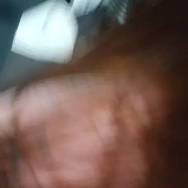 Profile image of 신 경장