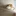 ㅊㅇㅈ