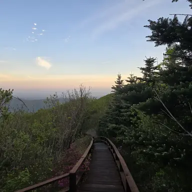 Profile image of 팀나빠