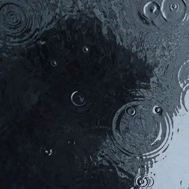 Profile image of チョン_ヒョヌ