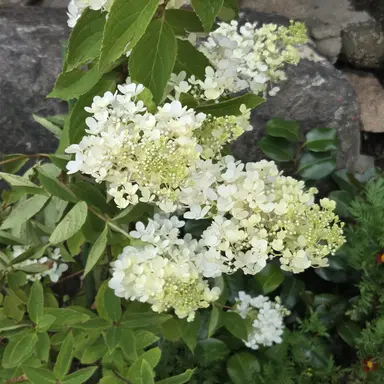 Profile image of 진우