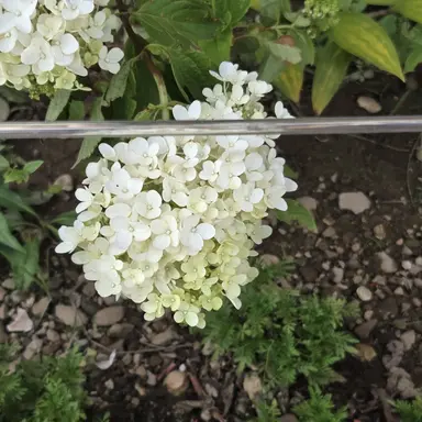 Profile image of 미스터리