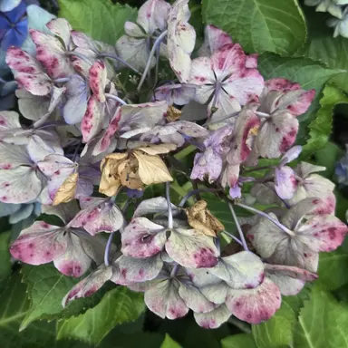 Profile image of 까먹음 이름아니