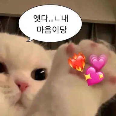 Profile image of 소유