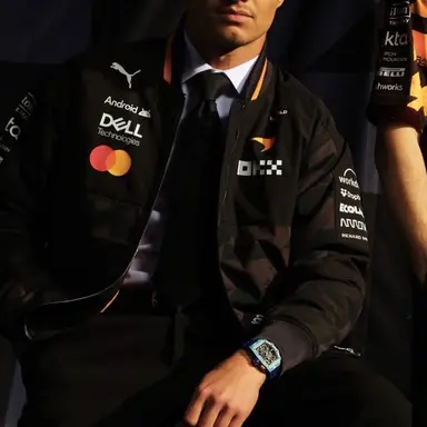 Profile image of Lando Norris