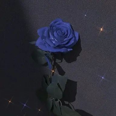 Profile image of 행크