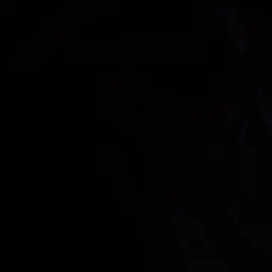 Profile image of 도도희