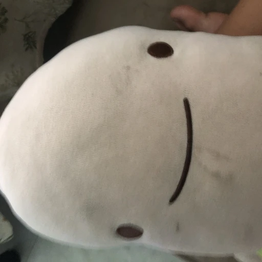 예쁜척하는김꼬미