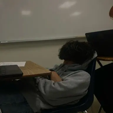 Profile image of Sam