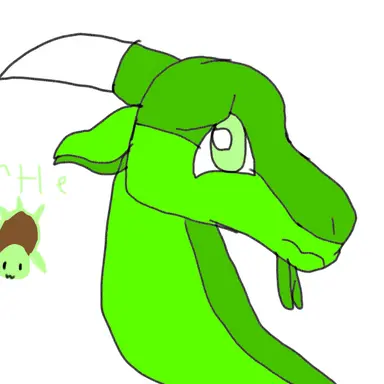 Profile image of Turtle