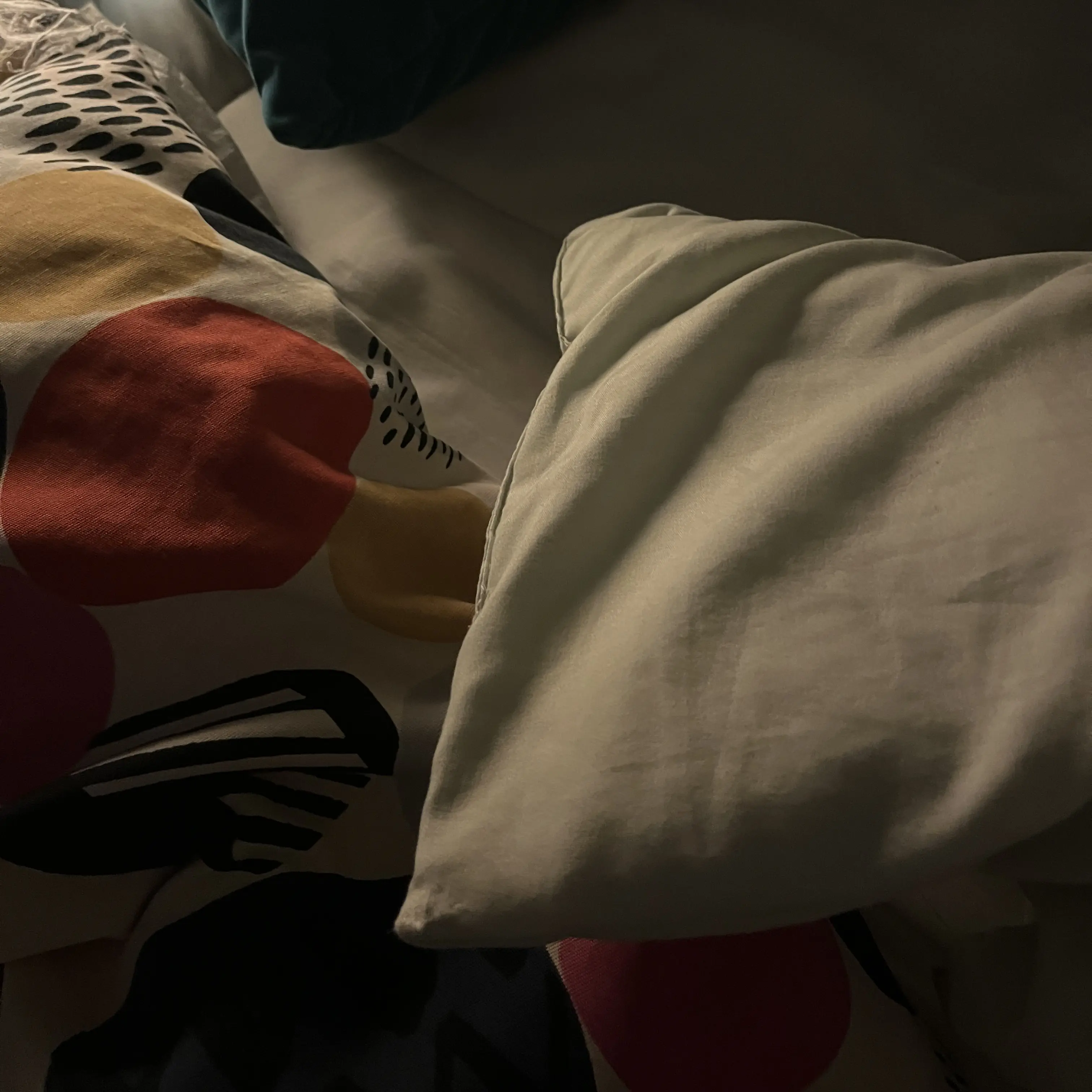 Beljin의 💤🛏️