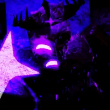 Profile image of noli