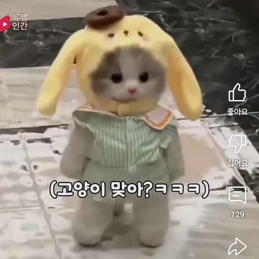 DenseBongo4098의 루루