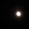 Profile image of 보름달