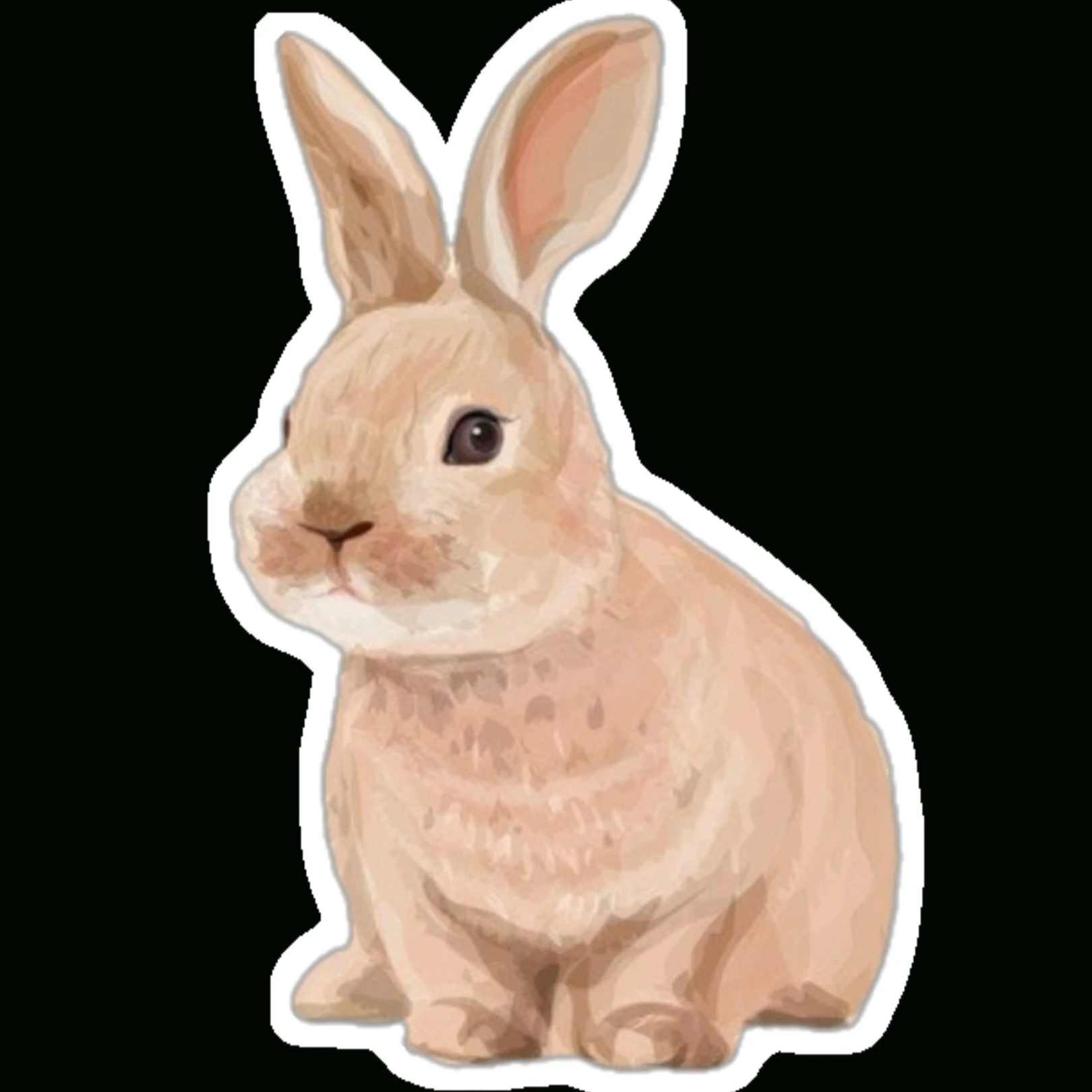 수빈