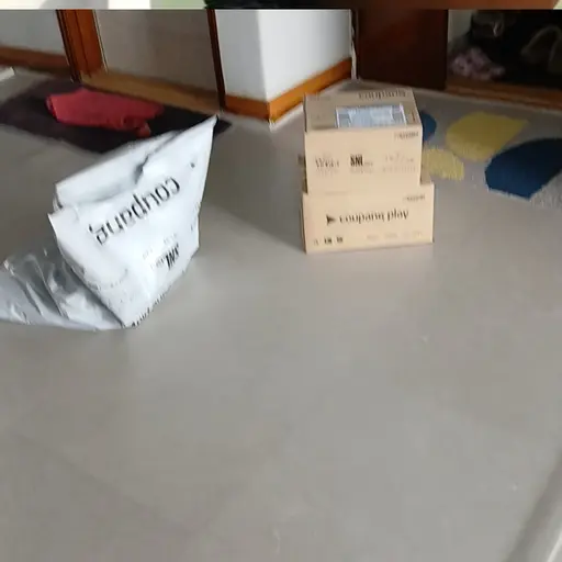 ChubbyPuli1235의 로젠택배