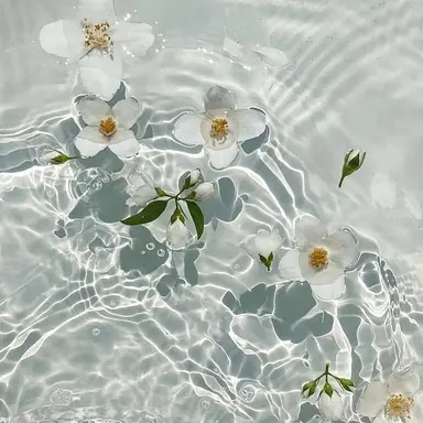 Profile image of 티티