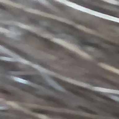 Profile image of 여우