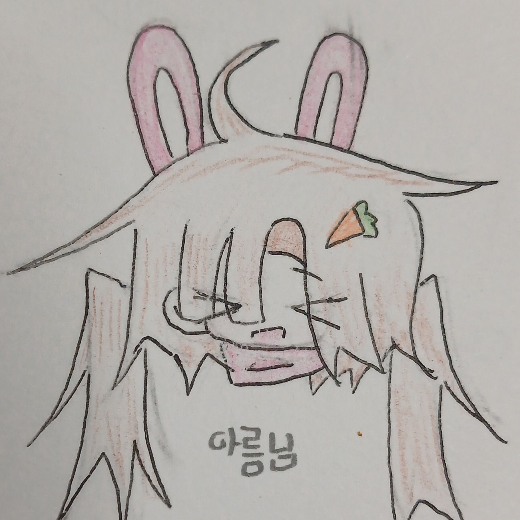 고고프랜즈 일진~!(여우, 늑대 없) 대표 이미지
