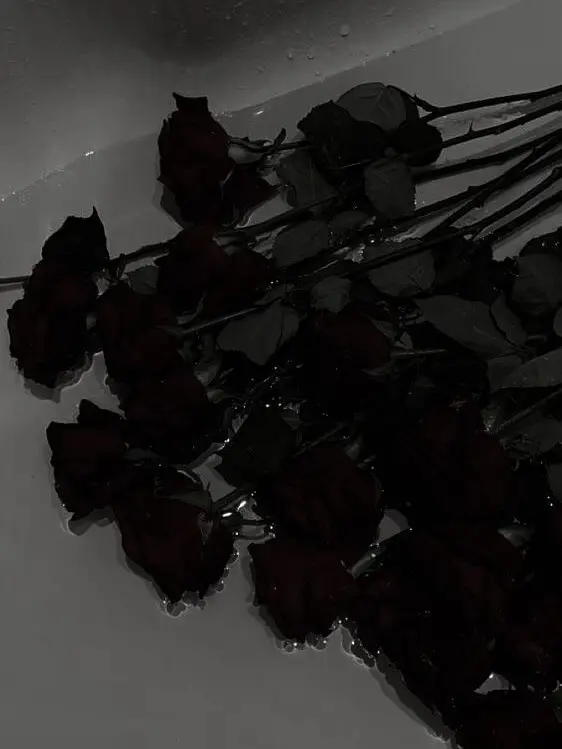 ppanw.32의 김다현