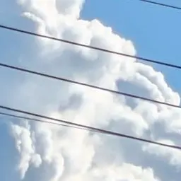 Profile image of 夏コラボメンバー