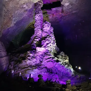 Profile image of 고고프렌즈