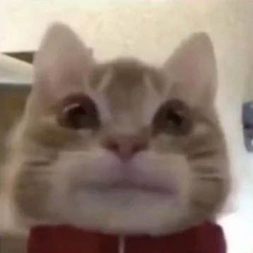 맷돌