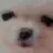 4생수 영화