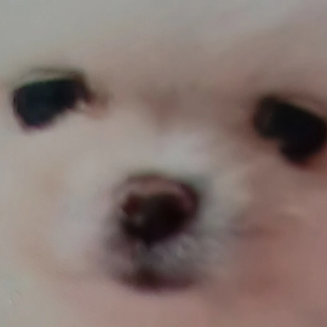 4생수 영화