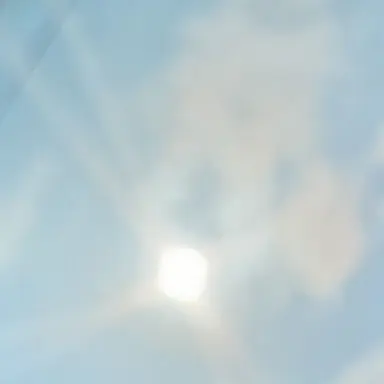 Profile image of 林