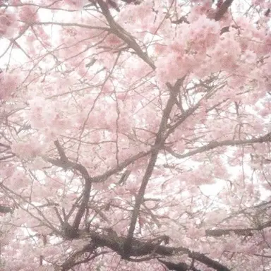 Profile image of 박유온