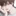우 도 현