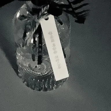 Profile image of Lily