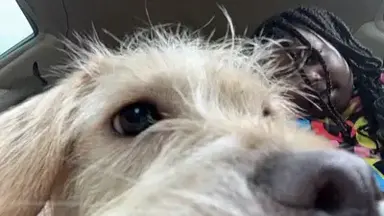 Profile image of MHA CHRISMAS SEASON