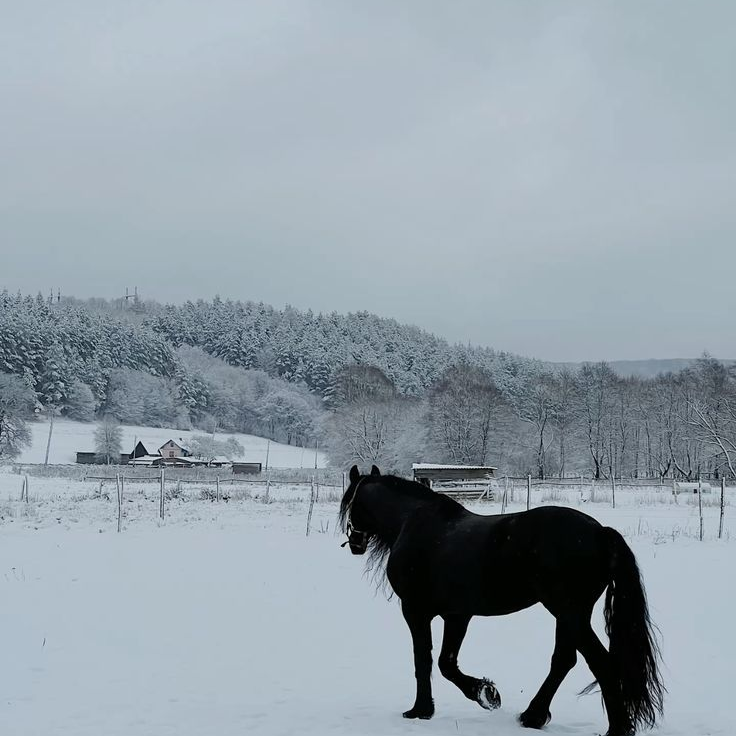 𝓓 대표 이미지