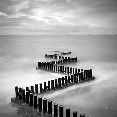 Profile image of 코쿠시보