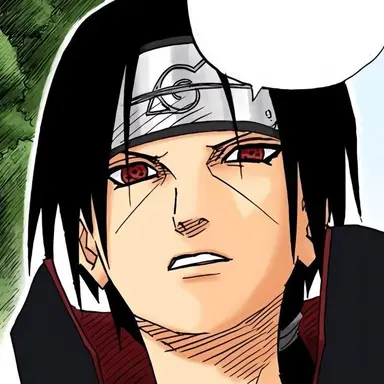 Profile image of イタチ