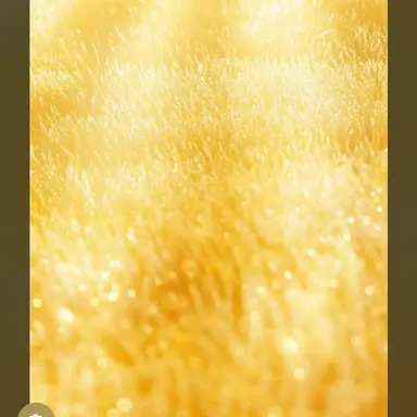 Profile image of 瀧脇笙子