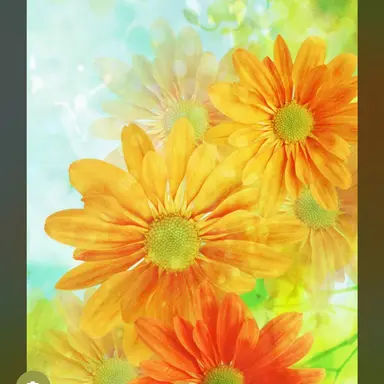 Profile image of 大場花菜