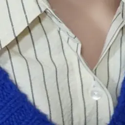 PPY의 W