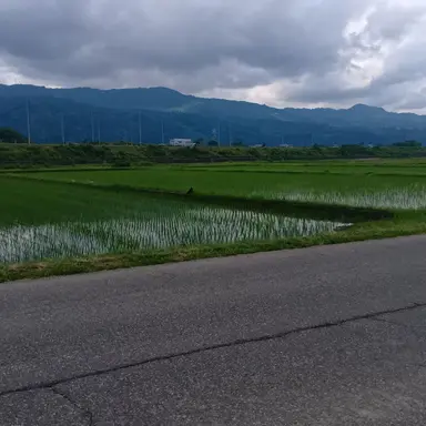 Profile image of 쓰레기남
