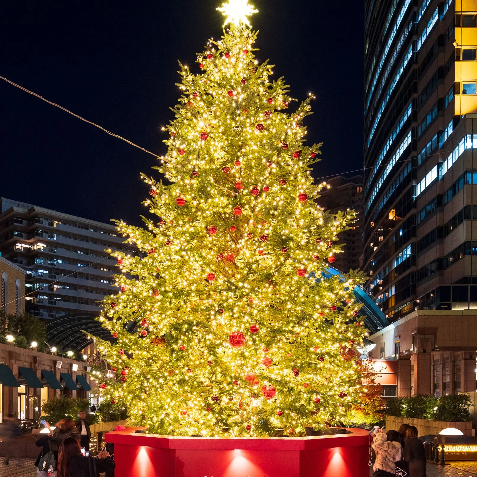 Dreamcore5050의 Popular, Yet Alone for Xmas (lol)