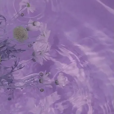 Profile image of 평학