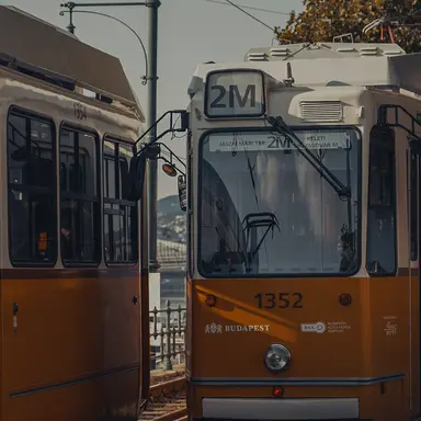 Profile image of 윙