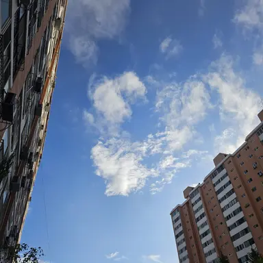 Profile image of 여우