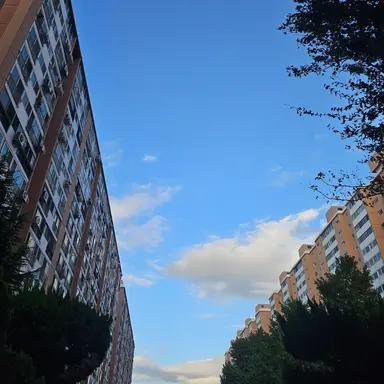 Profile image of 덕개