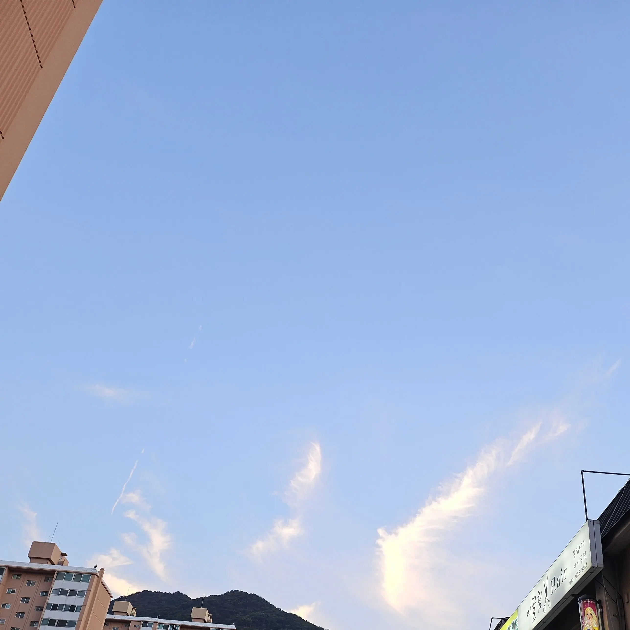 jiyul00127의 아이돌 뜰팁